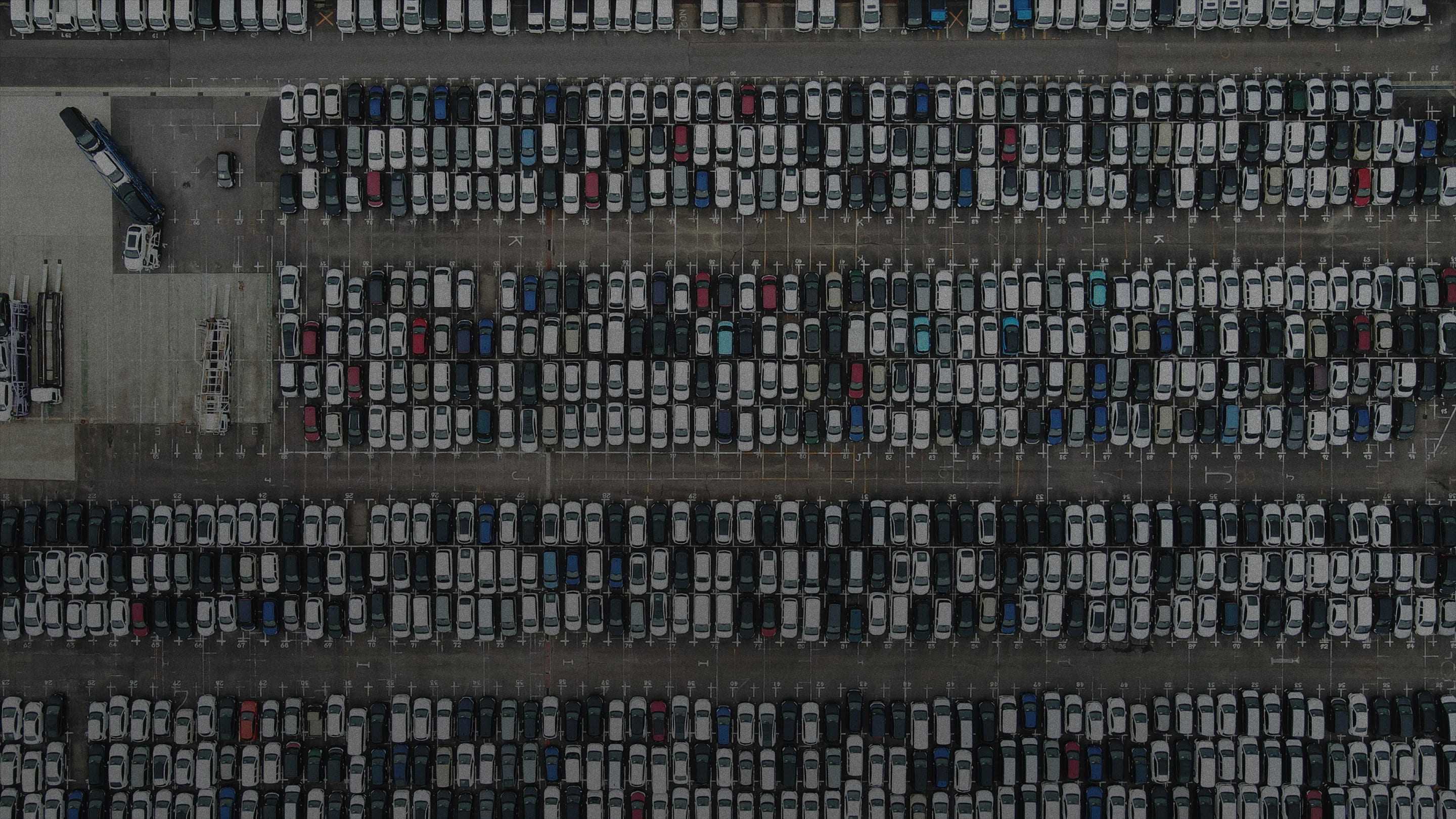 港に整然と並んだ車を上空から撮った様子